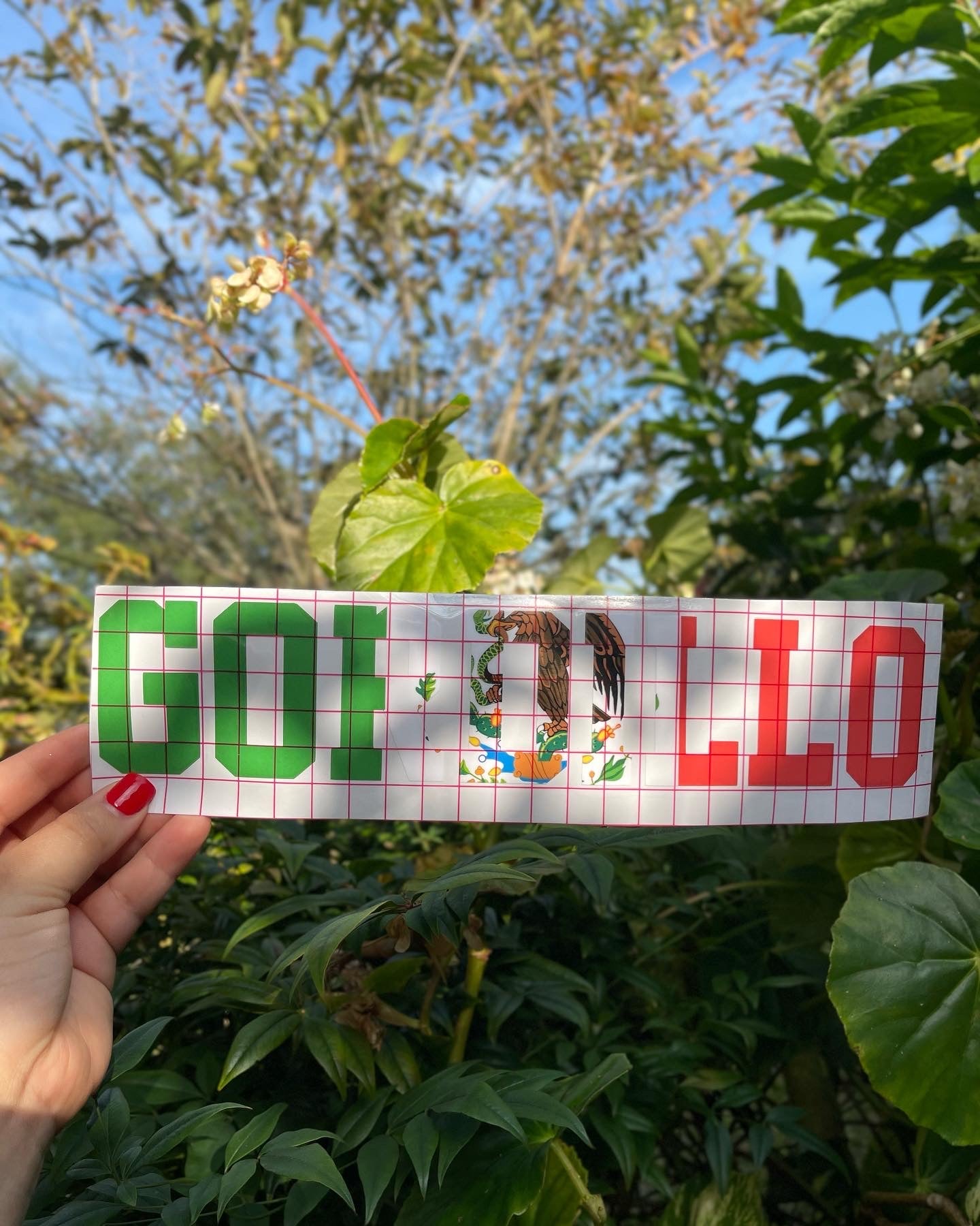Mexico Decal