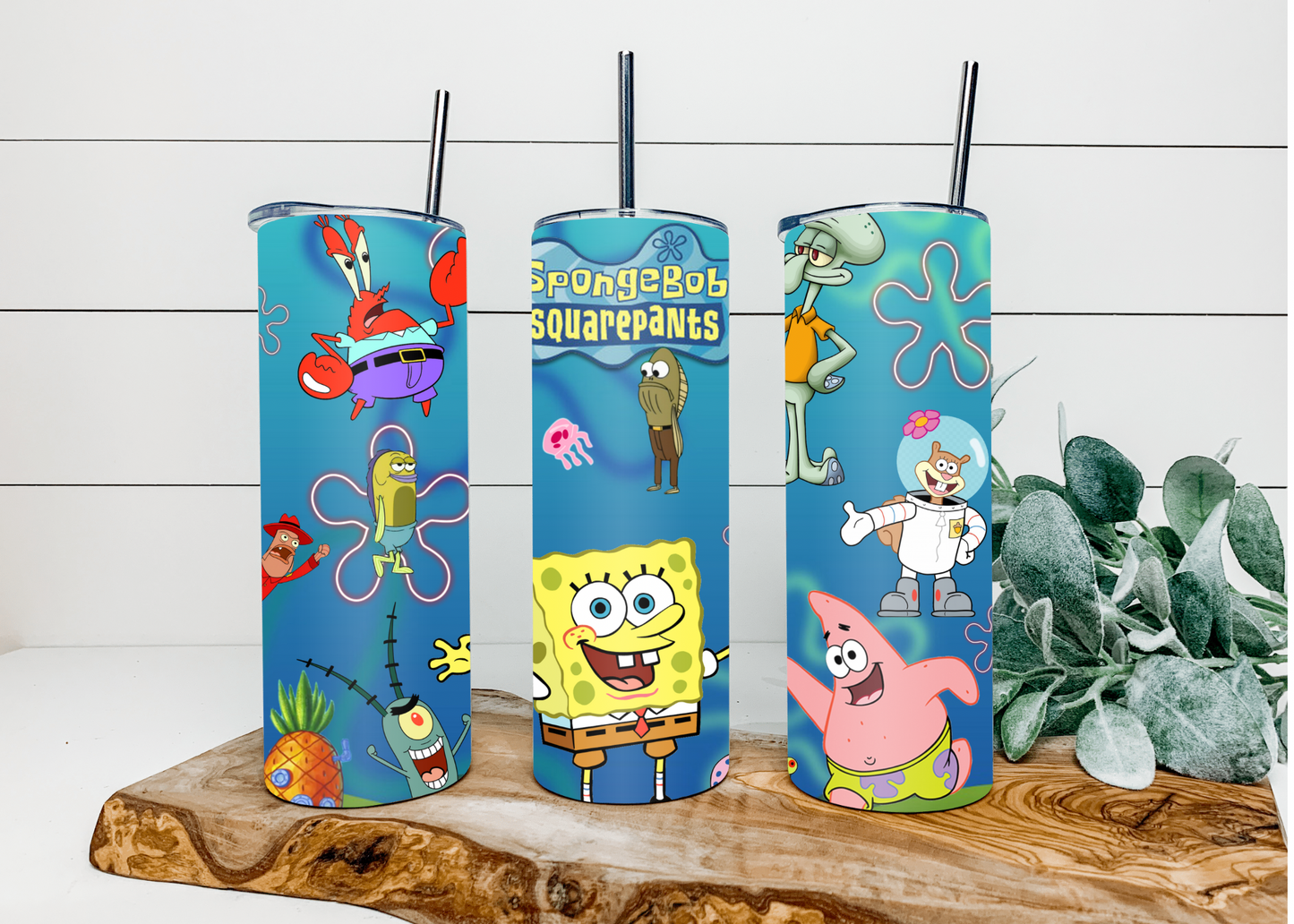 Sponge Cartoon